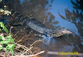 watermonitor